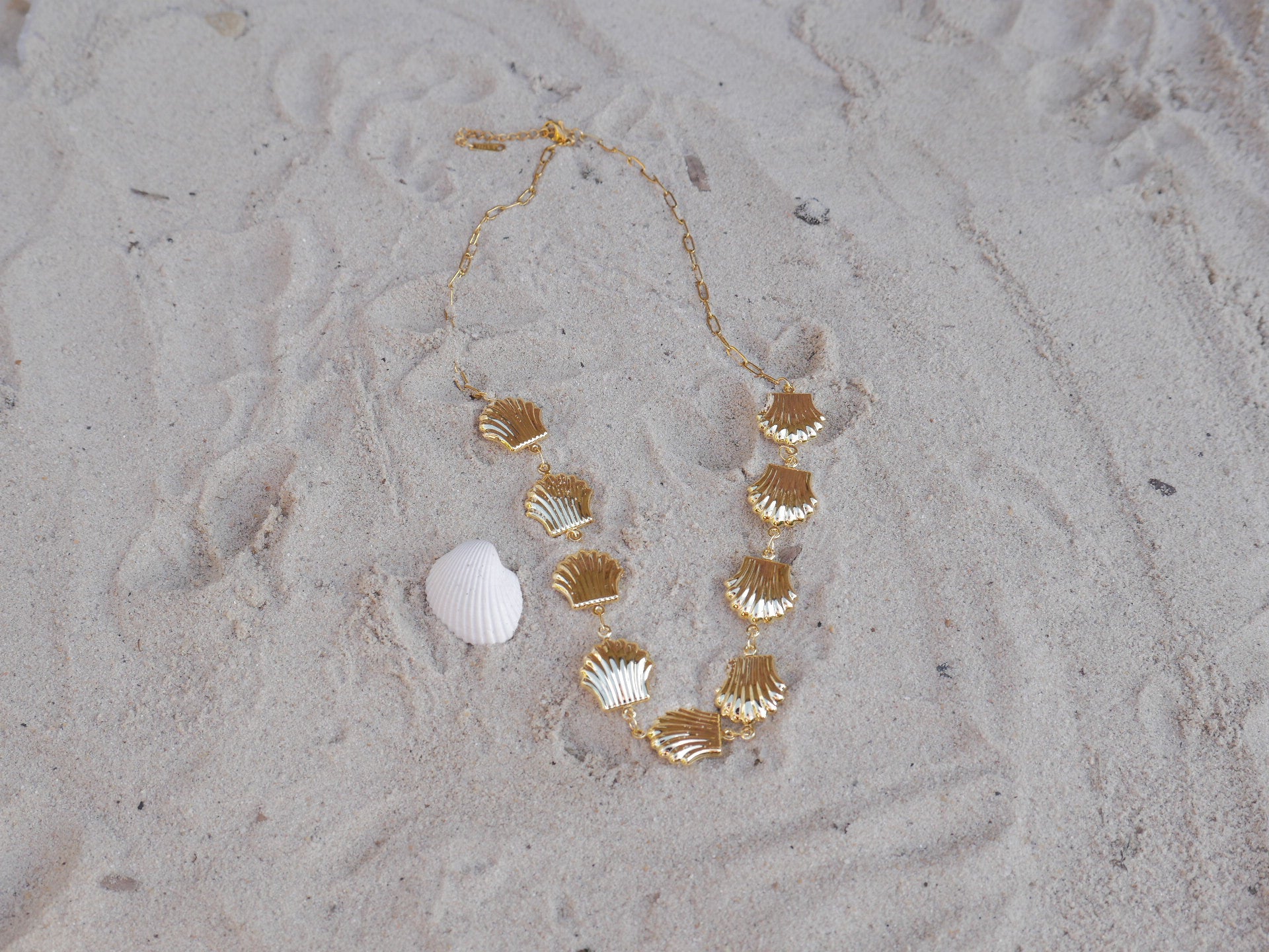 Gold shell necklace and bracelet on sandy surface